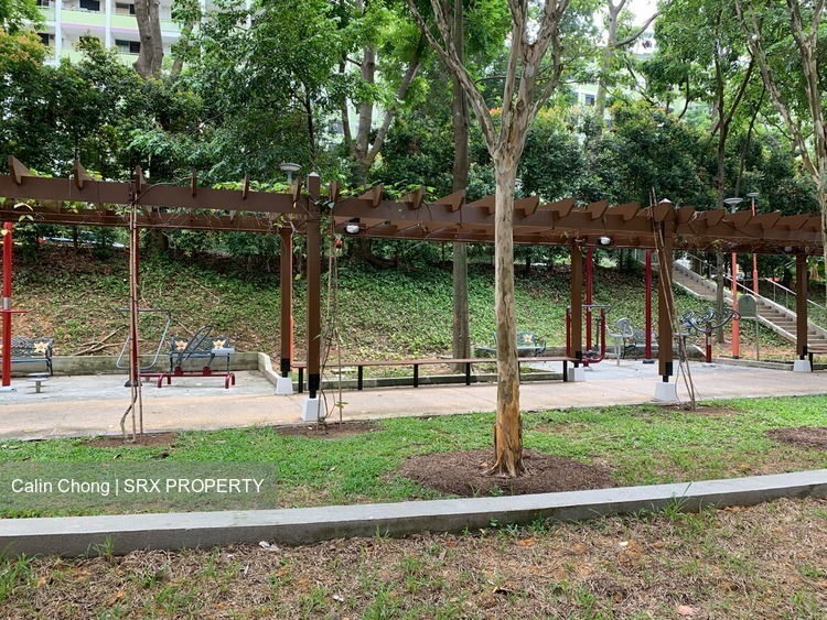 Blk 6A Boon Tiong Arcadia (Bukit Merah), HDB 5 Rooms #202429022
